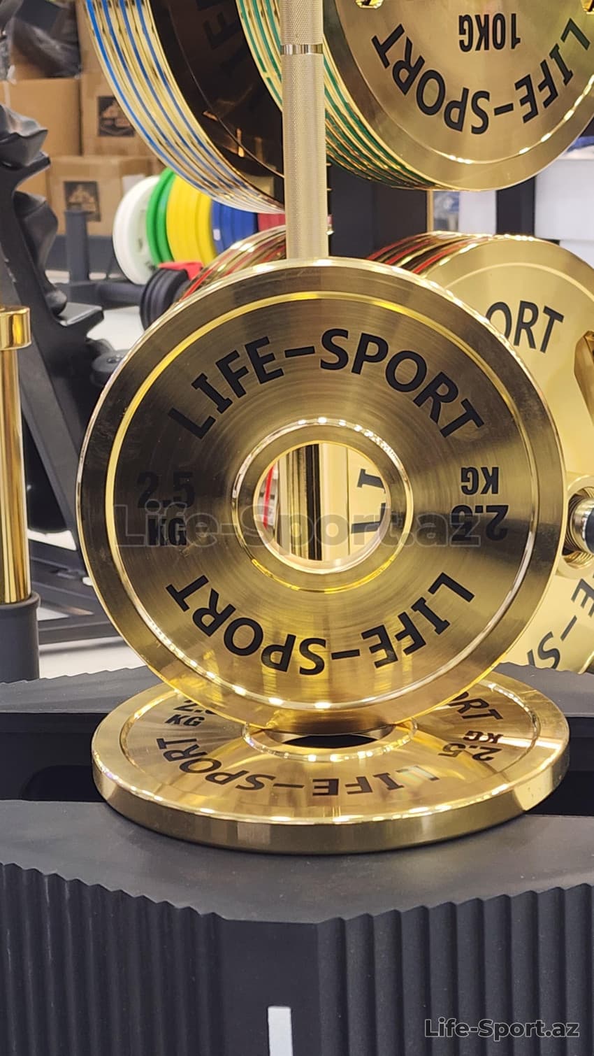 Life Sport Pro Bronze Coating Change Plate 2.5 kg — 2