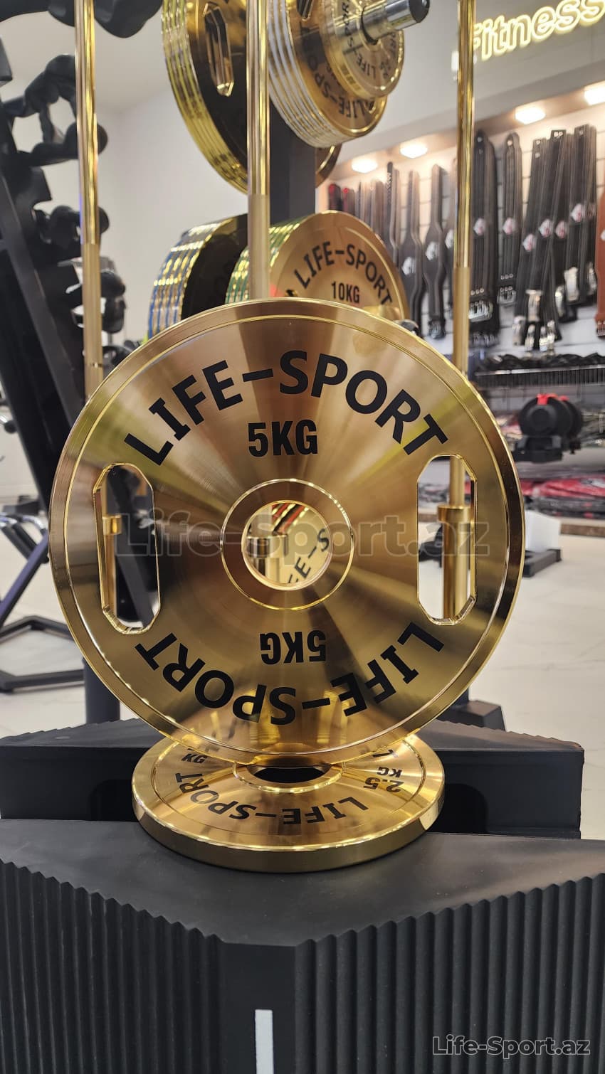 Life Sport Pro Bronze Coating Change Plate 5 kg — 1