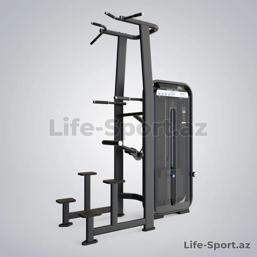 Life-Sport Dip/Chin Assist