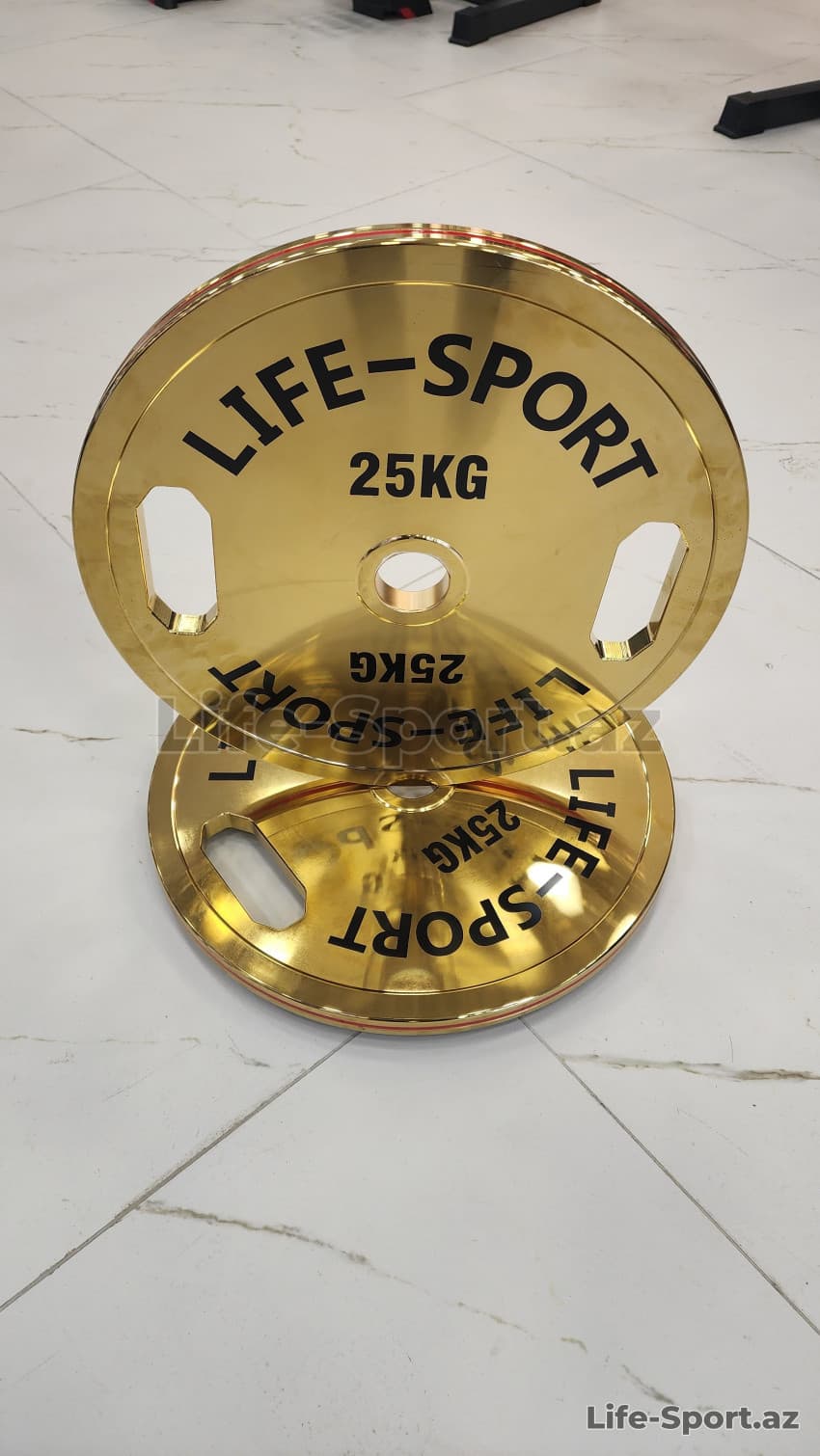 Life Sport Pro Bronze Coating Change Plate 25 kg