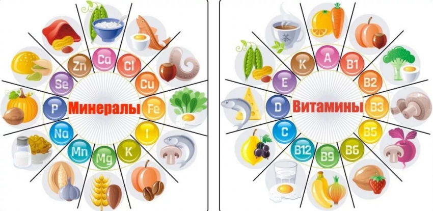 Vitamin və Minerallar barədə ətraflı məlumat