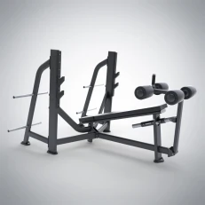 çoxfunksiyalı aşağı sinə əzələsi üçün decline bench