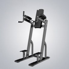 life-sport vertical knee up/dip